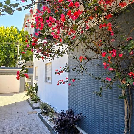 브라가 Casa Da Ana 빌라 외부 사진